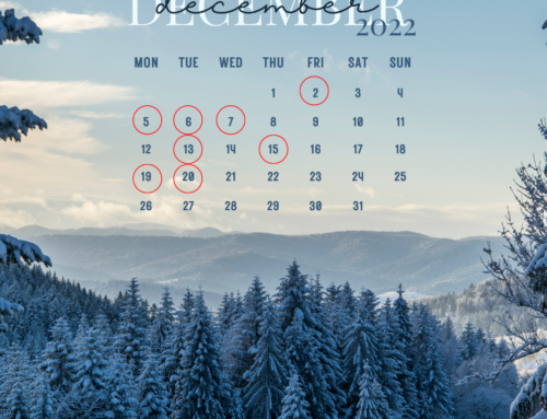 Holiday Happenings
