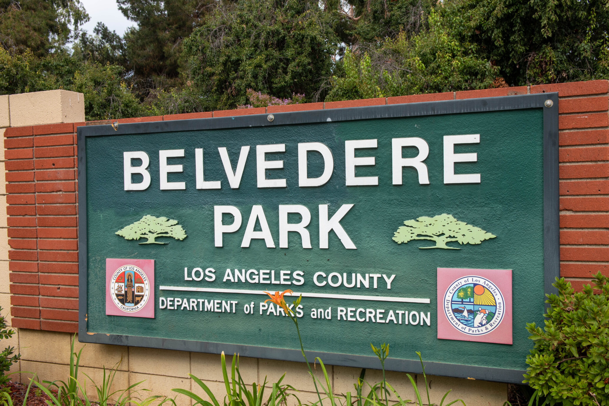 20200725 Food Distribution Belvedere Park Event5 Scaled Park Project Park or greenspace: 20200725 Food Distribution Belvedere Park Event5 Scaled