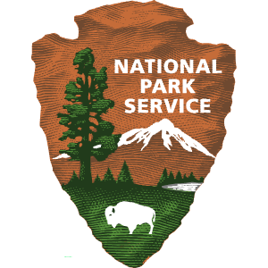 NPS
