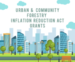 Urban Forestry Grant Visual IRA Urban Forestry grants banner